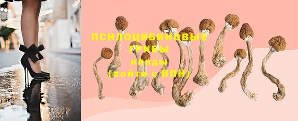 PSILOCYBIN Волоколамск