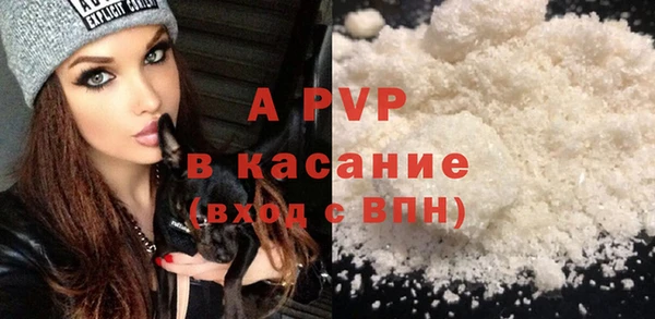 прущие грибы Волосово