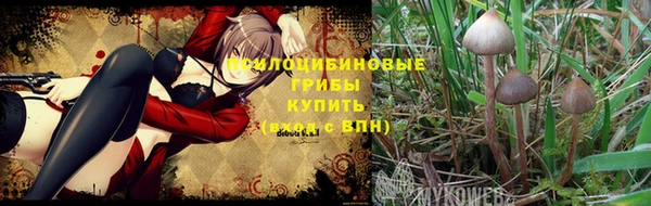 PSILOCYBIN Волоколамск